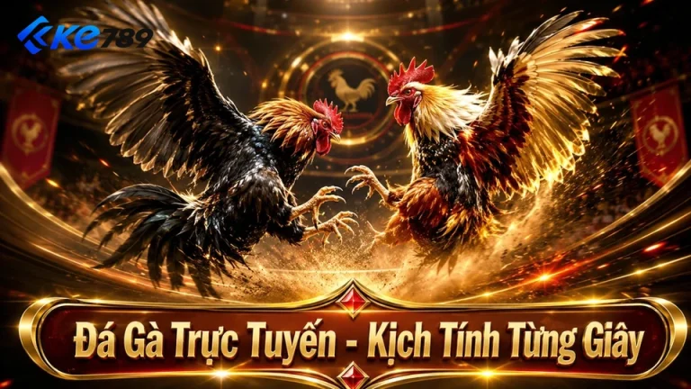 Đá Gà Trực Tuyến KE789: Đọc Chi Tiết Giao Diện Và Ghi Chép Kết Quả Để Đánh Giá Thói Quen Thay Vì Tìm Công Thức Thắng – Góc Kiểm Chứng Theo Tên Miền ke789.uk.com